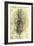 Anatomical Structure-Leonardo da Vinci-Framed Giclee Print