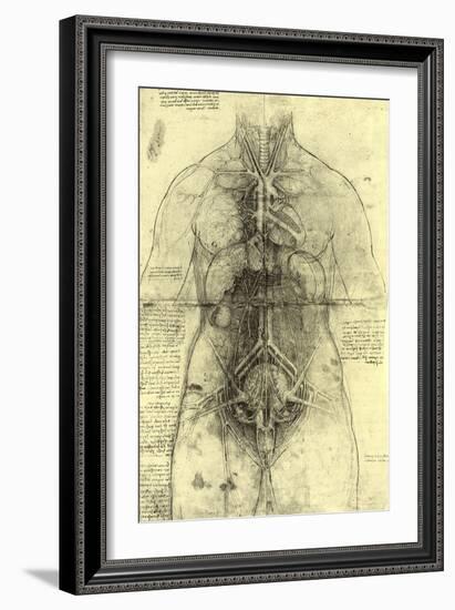 Anatomical Structure-Leonardo da Vinci-Framed Giclee Print