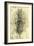 Anatomical Structure-Leonardo da Vinci-Framed Giclee Print