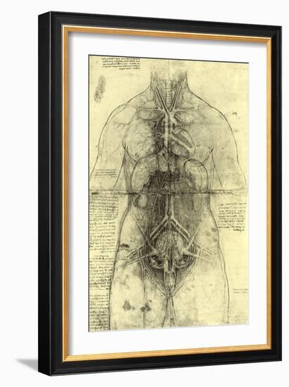 Anatomical Structure-Leonardo da Vinci-Framed Giclee Print
