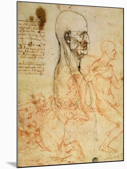 Anatomical Studies, circa 1500-07-Leonardo da Vinci-Mounted Premium Giclee Print