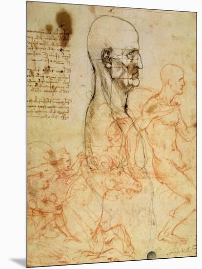 Anatomical Studies, circa 1500-07-Leonardo da Vinci-Mounted Giclee Print