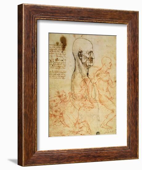 Anatomical Studies, circa 1500-07-Leonardo da Vinci-Framed Giclee Print