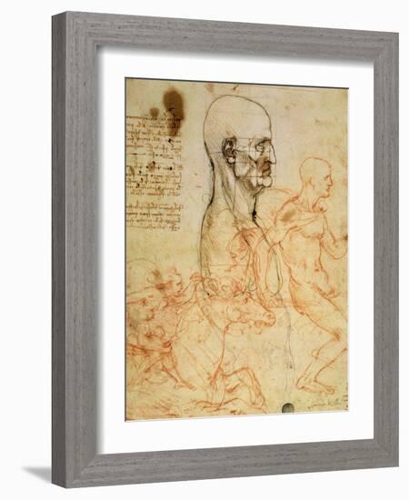 Anatomical Studies, circa 1500-07-Leonardo da Vinci-Framed Giclee Print