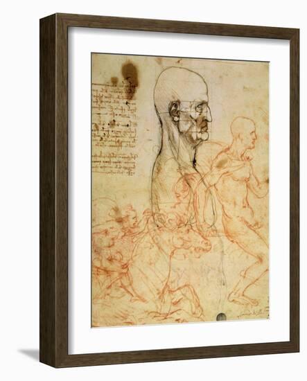 Anatomical Studies, circa 1500-07-Leonardo da Vinci-Framed Giclee Print