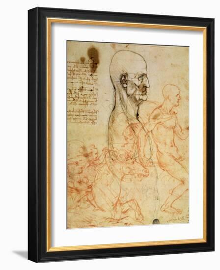 Anatomical Studies, circa 1500-07-Leonardo da Vinci-Framed Giclee Print