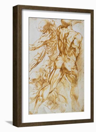 Anatomical Studies: Nudes in Combat-Peter Paul Rubens-Framed Giclee Print