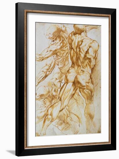 Anatomical Studies: Nudes in Combat-Peter Paul Rubens-Framed Giclee Print