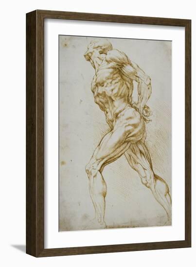 Anatomical Study: a Nude Striding to the Right His Hands Behind His Back-Peter Paul Rubens-Framed Giclee Print