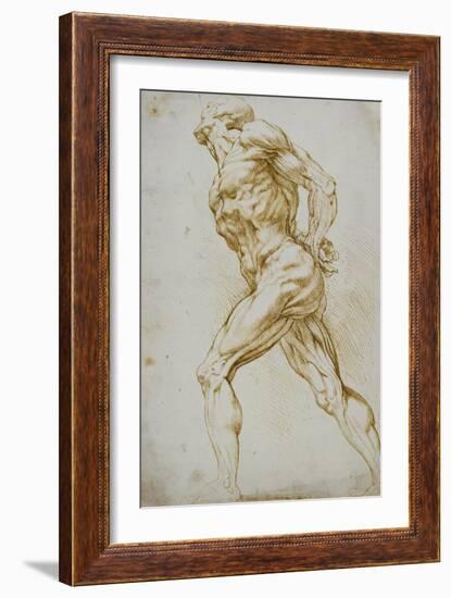 Anatomical Study: a Nude Striding to the Right His Hands Behind His Back-Peter Paul Rubens-Framed Giclee Print