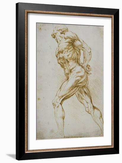 Anatomical Study: a Nude Striding to the Right His Hands Behind His Back-Peter Paul Rubens-Framed Giclee Print