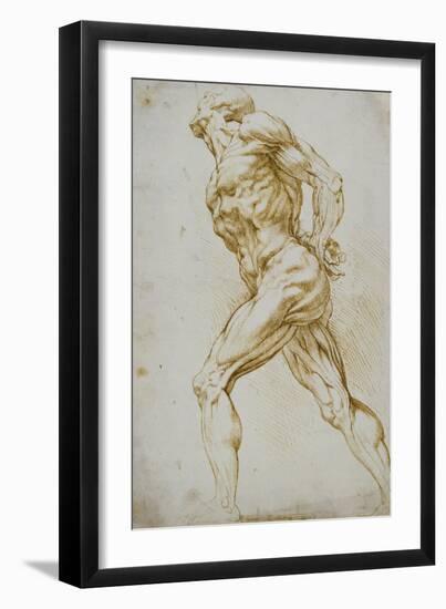 Anatomical Study: a Nude Striding to the Right His Hands Behind His Back-Peter Paul Rubens-Framed Giclee Print