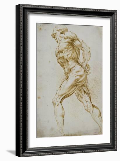 Anatomical Study: a Nude Striding to the Right His Hands Behind His Back-Peter Paul Rubens-Framed Giclee Print