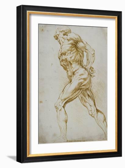 Anatomical Study: a Nude Striding to the Right His Hands Behind His Back-Peter Paul Rubens-Framed Giclee Print