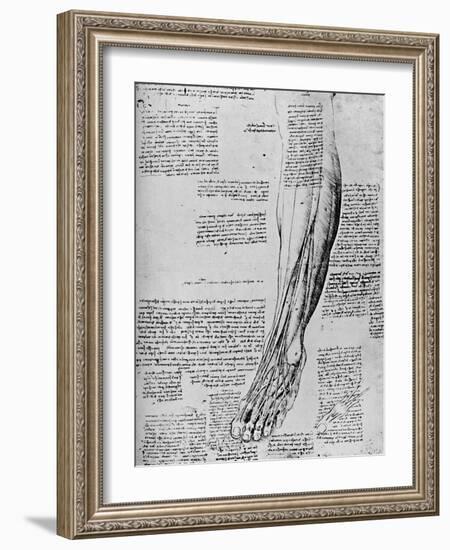'Anatomical Study of Muscles of Foot', 1928-Leonardo Da Vinci-Framed Giclee Print