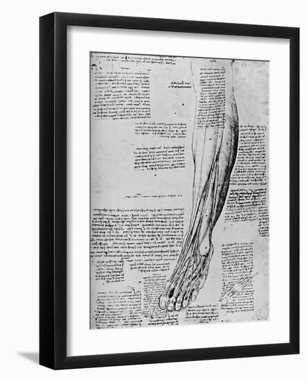 'Anatomical Study of Muscles of Foot', 1928-Leonardo Da Vinci-Framed Giclee Print