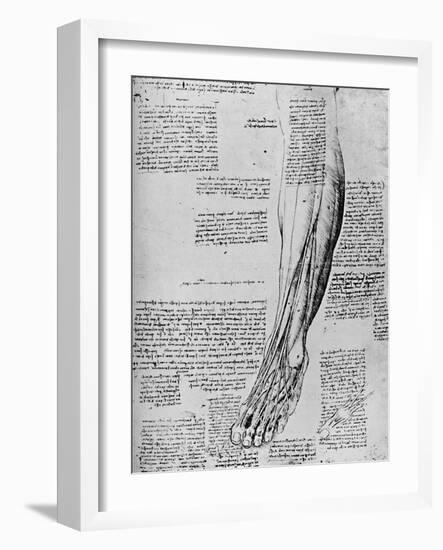 'Anatomical Study of Muscles of Foot', 1928-Leonardo Da Vinci-Framed Giclee Print