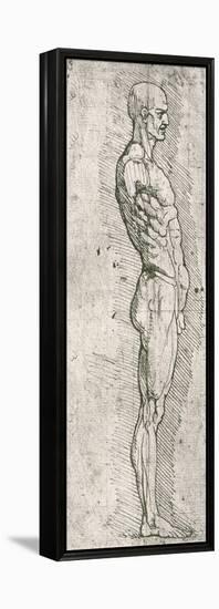 Anatomical Study-Leonardo da Vinci-Framed Premier Image Canvas