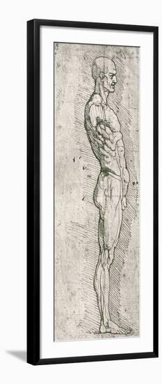 Anatomical Study-Leonardo da Vinci-Framed Giclee Print