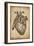 Anatomy 008-Vintage Lavoie-Framed Giclee Print