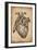 Anatomy 008-Vintage Lavoie-Framed Giclee Print