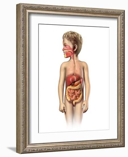 Anatomy of a Child's Full Digestive System-null-Framed Art Print