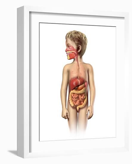 Anatomy of a Child's Full Digestive System-null-Framed Art Print