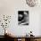 Anatomy of a Murder, James Stewart, Duke Ellington, 1959-null-Photo displayed on a wall