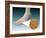 Anatomy of Foot Fungus with Microscopic Close-Up-null-Framed Art Print