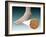 Anatomy of Foot Fungus with Microscopic Close-Up-null-Framed Art Print