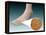 Anatomy of Foot Fungus with Microscopic Close-Up-null-Framed Stretched Canvas