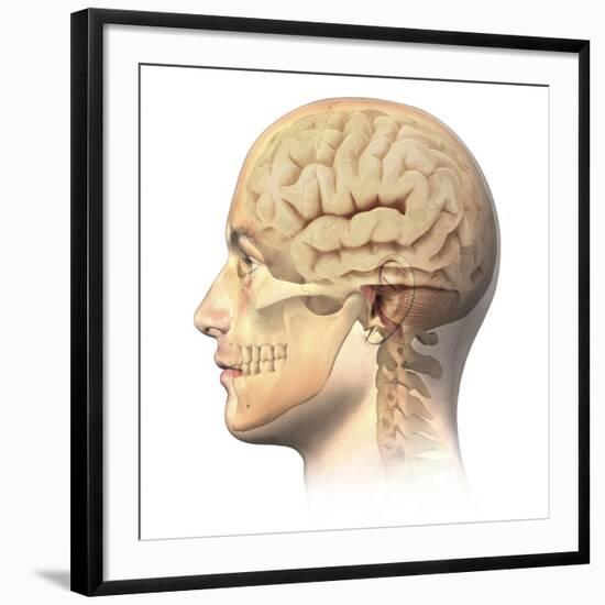 Art Print, , large