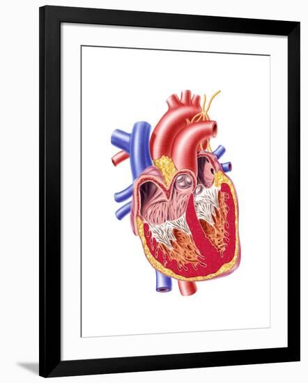 Art Print, , large