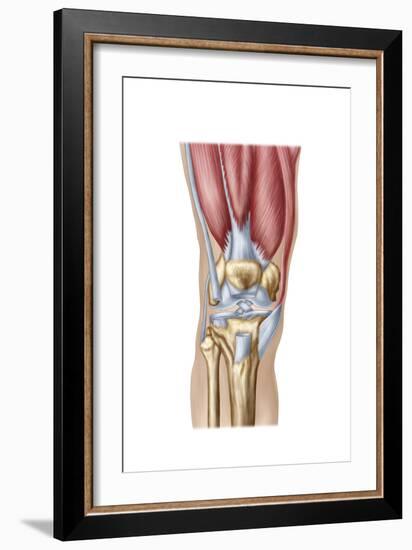 Anatomy of Human Knee Joint-null-Framed Art Print