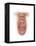 Anatomy of Human Mouth Cavity-null-Framed Stretched Canvas