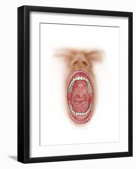 Anatomy of Human Mouth Cavity-null-Framed Art Print