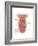 Anatomy of Human Mouth Cavity-null-Framed Premium Giclee Print