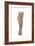 Anatomy of Human Thigh Muscles, Anterior View-null-Framed Premium Giclee Print