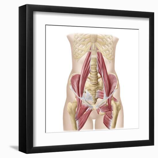 Anatomy of Iliopsoa, also known as the Dorsal Hip Muscles-null-Framed Art Print