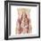 Anatomy of Iliopsoa, also known as the Dorsal Hip Muscles-null-Framed Premium Giclee Print