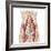 Anatomy of Iliopsoa, also known as the Dorsal Hip Muscles-null-Framed Art Print