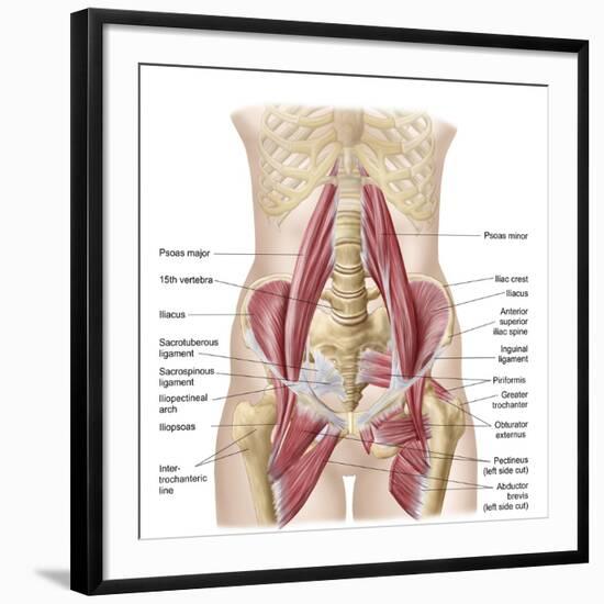 Art Print, , large