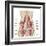 Anatomy of Iliopsoa, also known as the Dorsal Hip Muscles-null-Framed Art Print