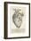 Anatomy of the Heart-null-Framed Photographic Print