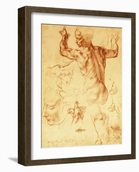 Anatomy Sketches (Libyan Sibyl)-Michelangelo Buonarroti-Framed Giclee Print