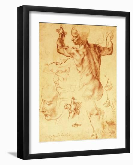 Anatomy Sketches (Libyan Sibyl)-Michelangelo Buonarroti-Framed Giclee Print