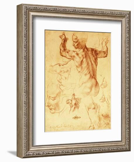 Anatomy Sketches (Libyan Sibyl)-Michelangelo Buonarroti-Framed Giclee Print