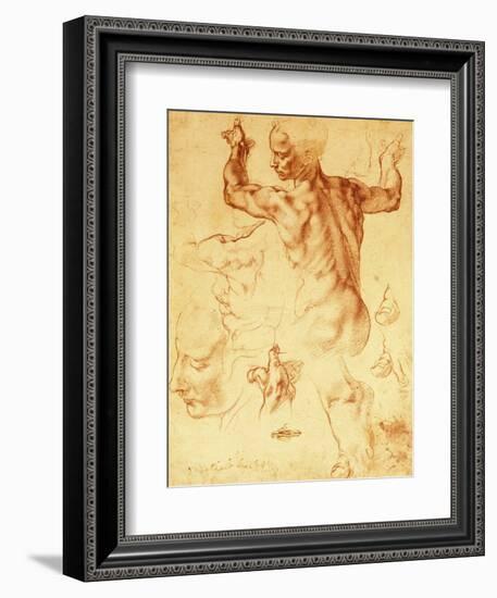 Anatomy Sketches (Libyan Sibyl)-Michelangelo Buonarroti-Framed Giclee Print