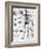 Anatomy:The Human Skeleton Frame-Bettmann-Framed Giclee Print