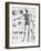 Anatomy:The Human Skeleton Frame-Bettmann-Framed Giclee Print